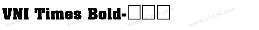 VNI Times Bold字体转换
